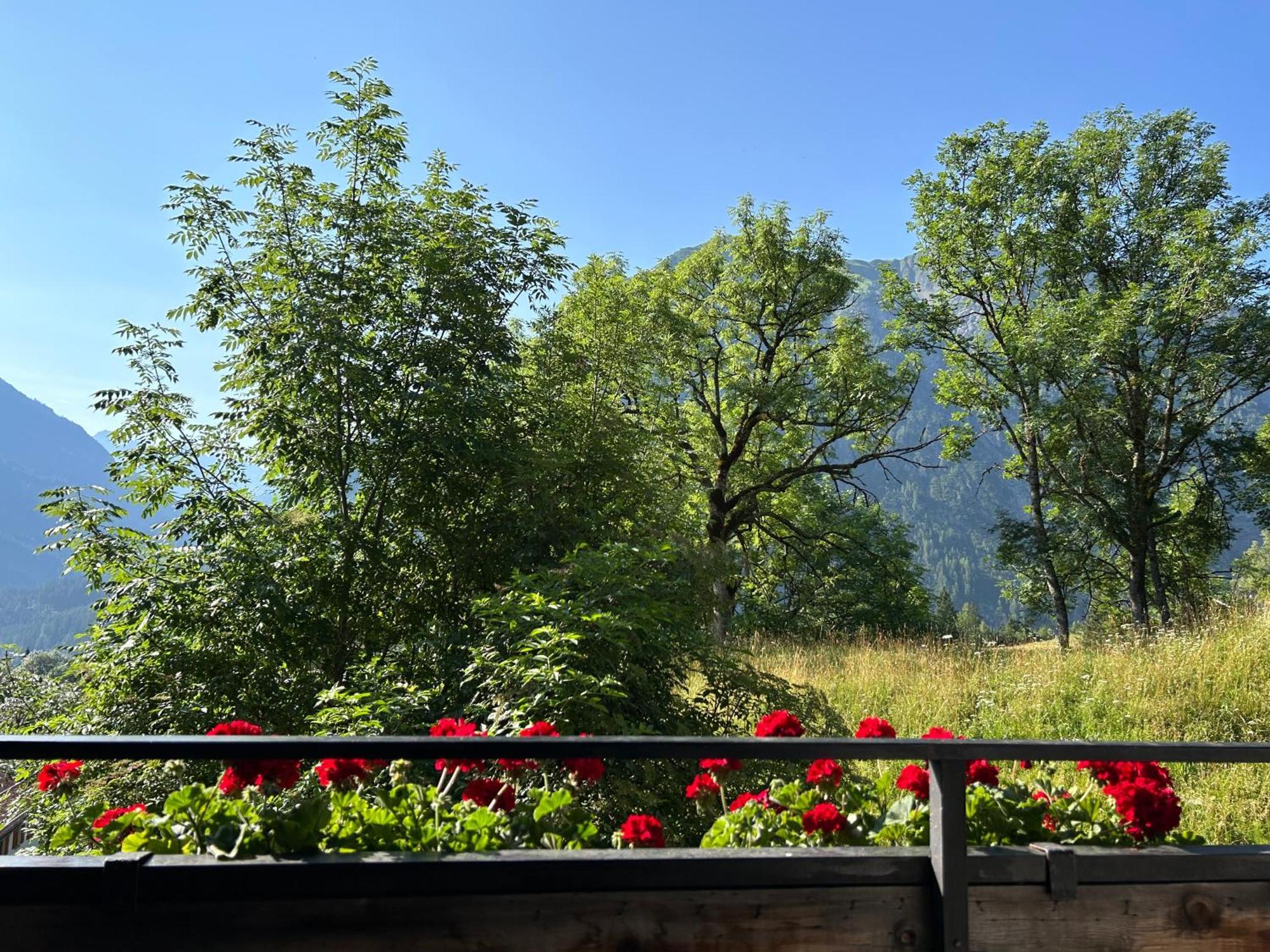 Appartementhaus Michaela Bach  Dış mekan fotoğraf