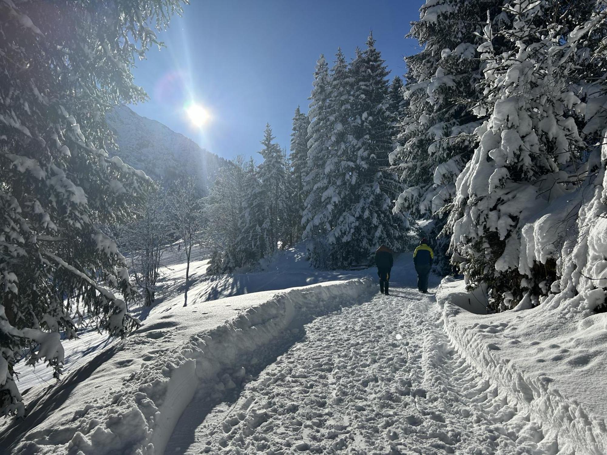 Appartementhaus Michaela Bach  Dış mekan fotoğraf